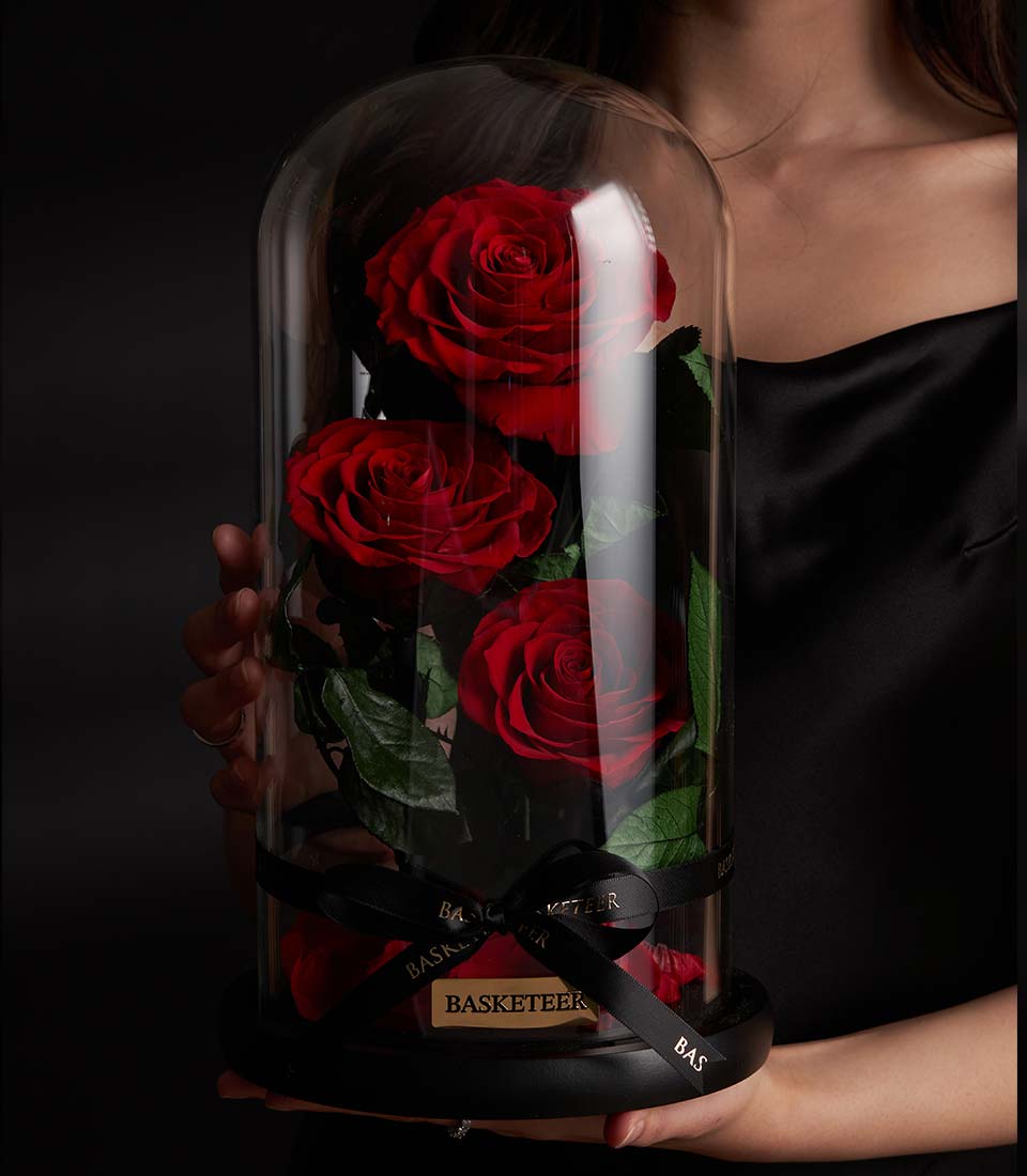 Preserved red roses in glass dome with black base, luxury Valentine's gift