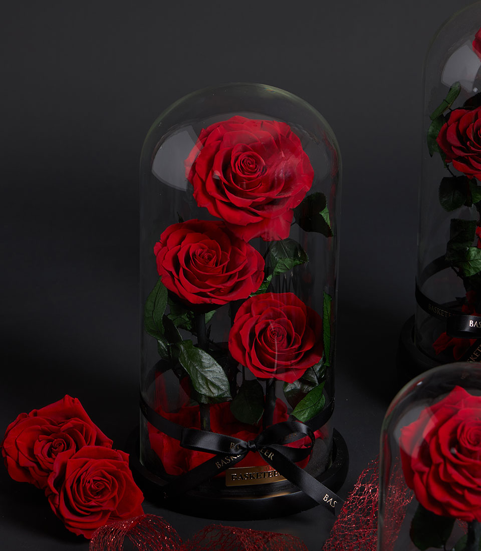 Preserved red roses in luxury glass dome with satin bow, Valentine's Day gift