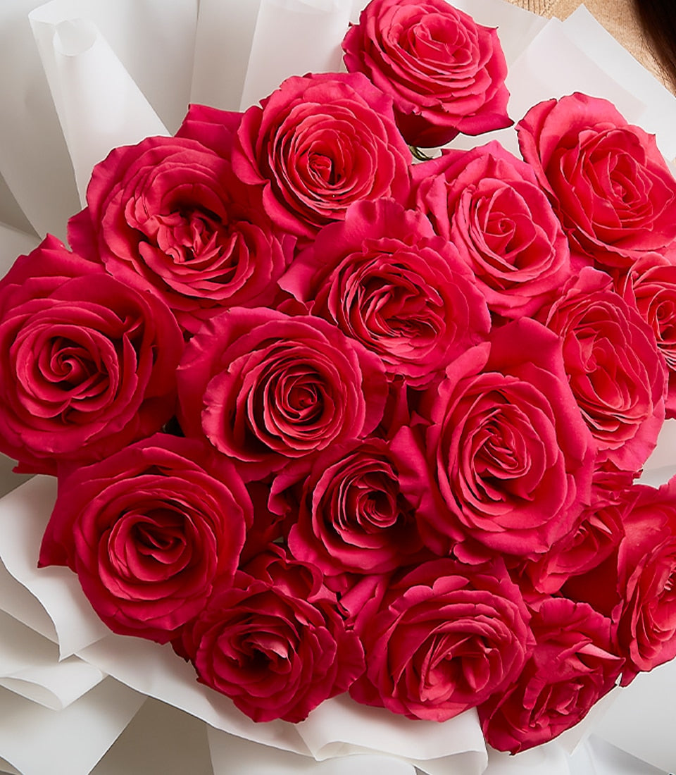 Deep pink roses bouquet with white wrapping, perfect anniversary gift for her