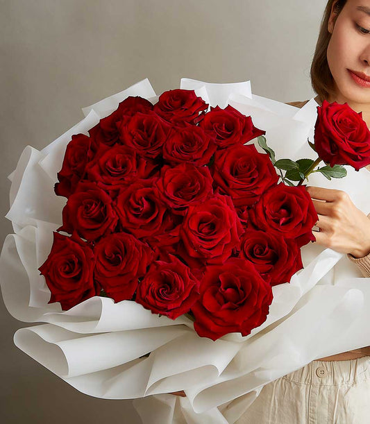 Deep red roses wrapped in white paper, elegant anniversary gift bouquet for her