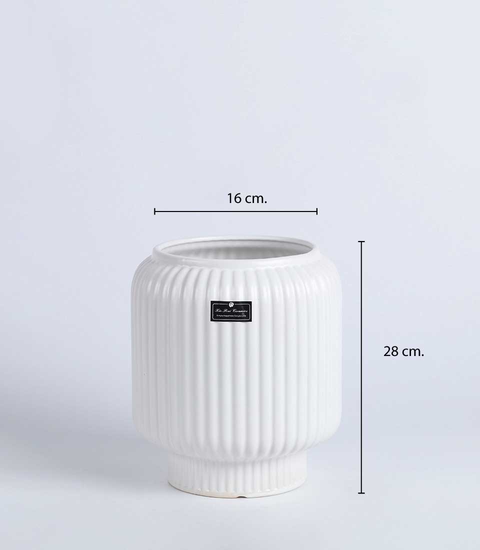White ribbed ceramic vase with tapered cylinder form, 28cm tall, ideal for fresh flowers or decorative display