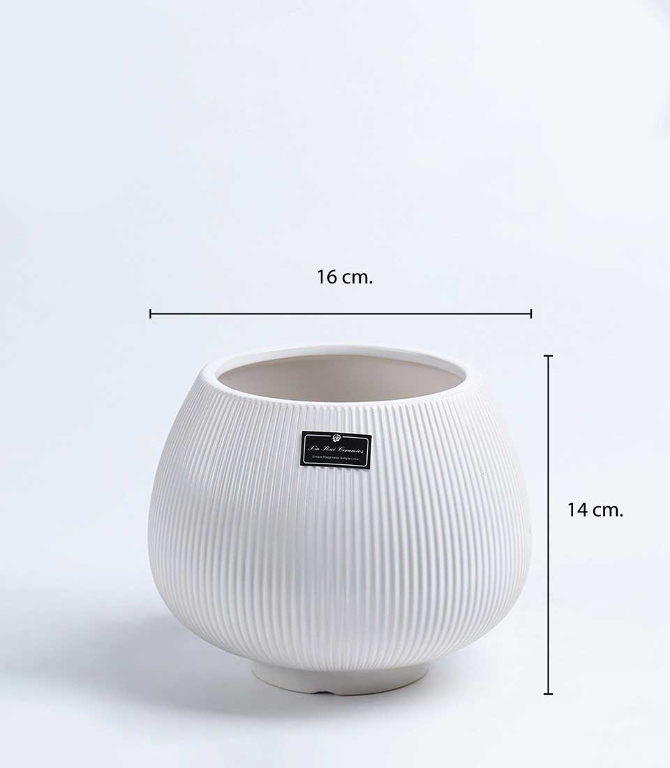 White ribbed ceramic vase with bulbous shape, 16cm wide, premium home décor accent