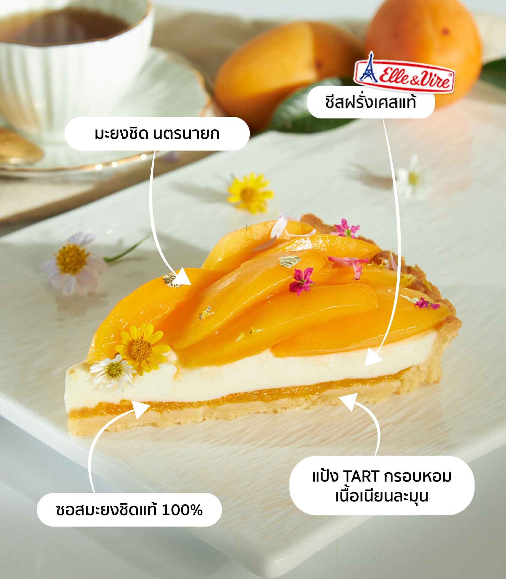 Golden Mayongchid cheese tart slice with mango, edible gold leaf, and delicate florals on cream filling