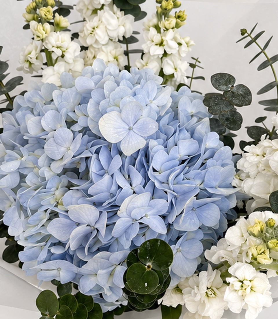 Hydrangea & White Stock Bouquet