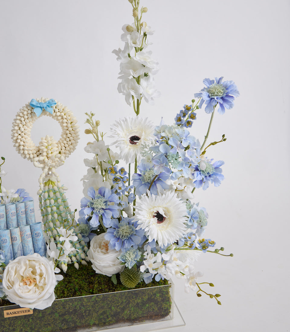 Elegant floral arrangement featuring white gerberas, blue scabiosa, cream roses, white stocks, and decorative succulents in a moss-lined rectangular container with blue ribbon accent.