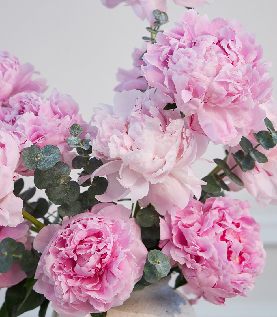 Luxurious blush pink peony vase arrangement from Flowers by Basketeer,