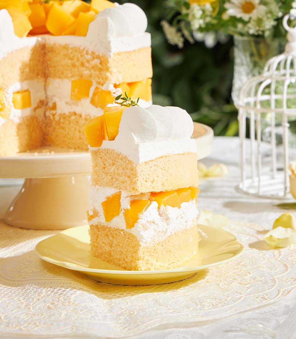 Golden mango layer cake with fresh mango chunks and whipped cream frosting, whole cake and plated slice