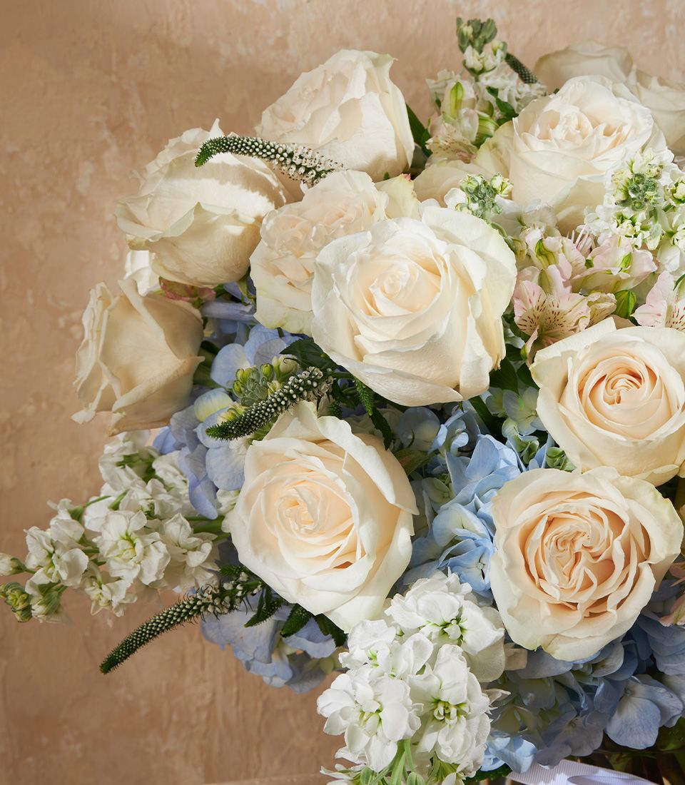 Creamy white roses and soft blue hydrangeas in Serenity Bloom luxury floral vase arrangement
