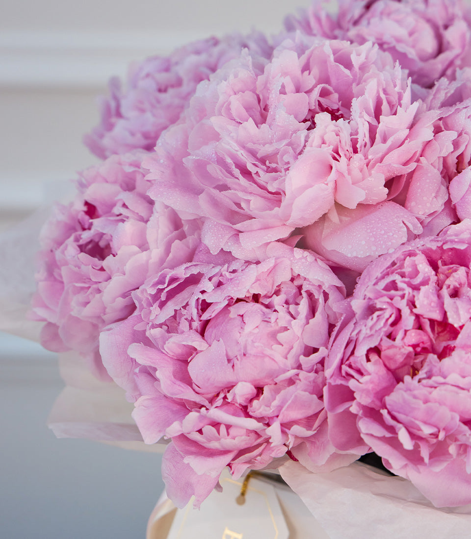 A luxurious arrangement of vibrant pink peonies, dewy with freshness, nestled in white