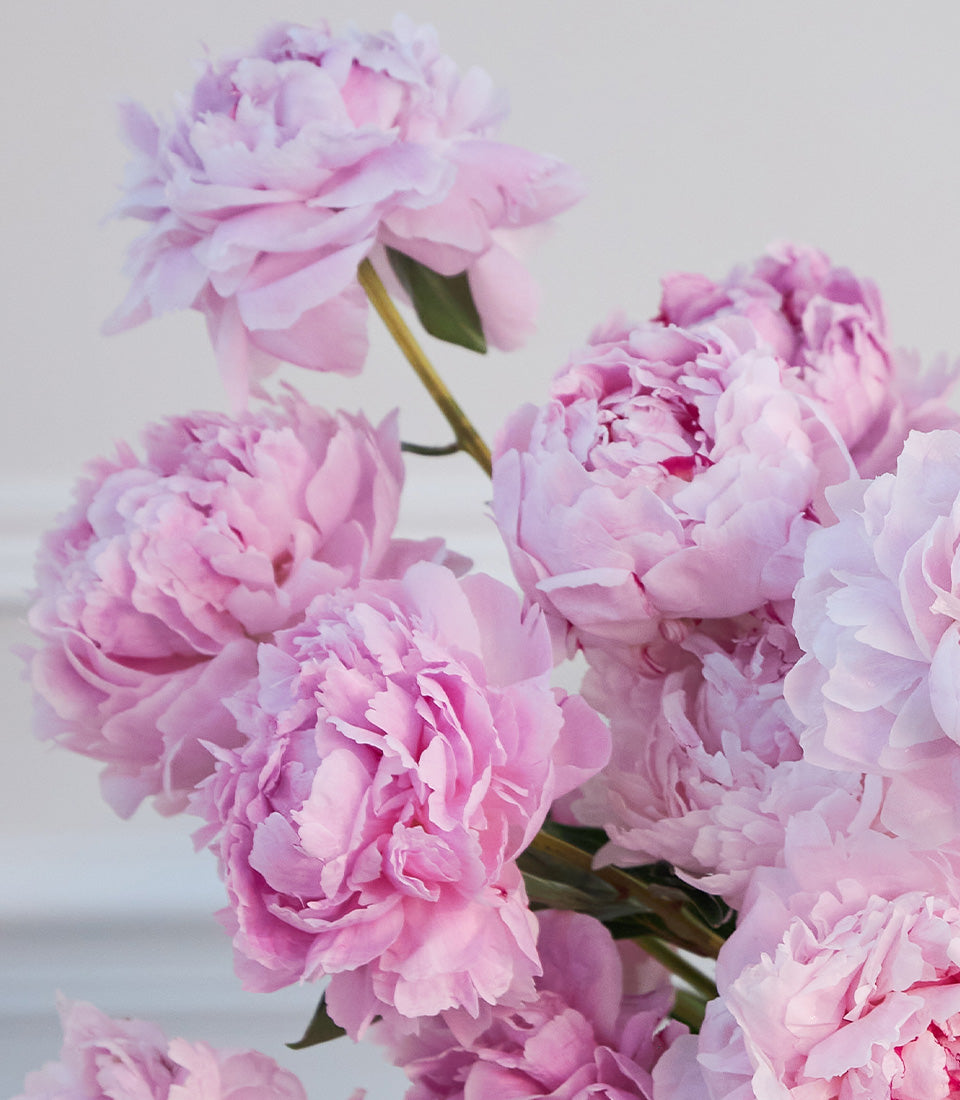 Elegant premium pink peony vase arrangement, perfect for flower delivery Bangkok.