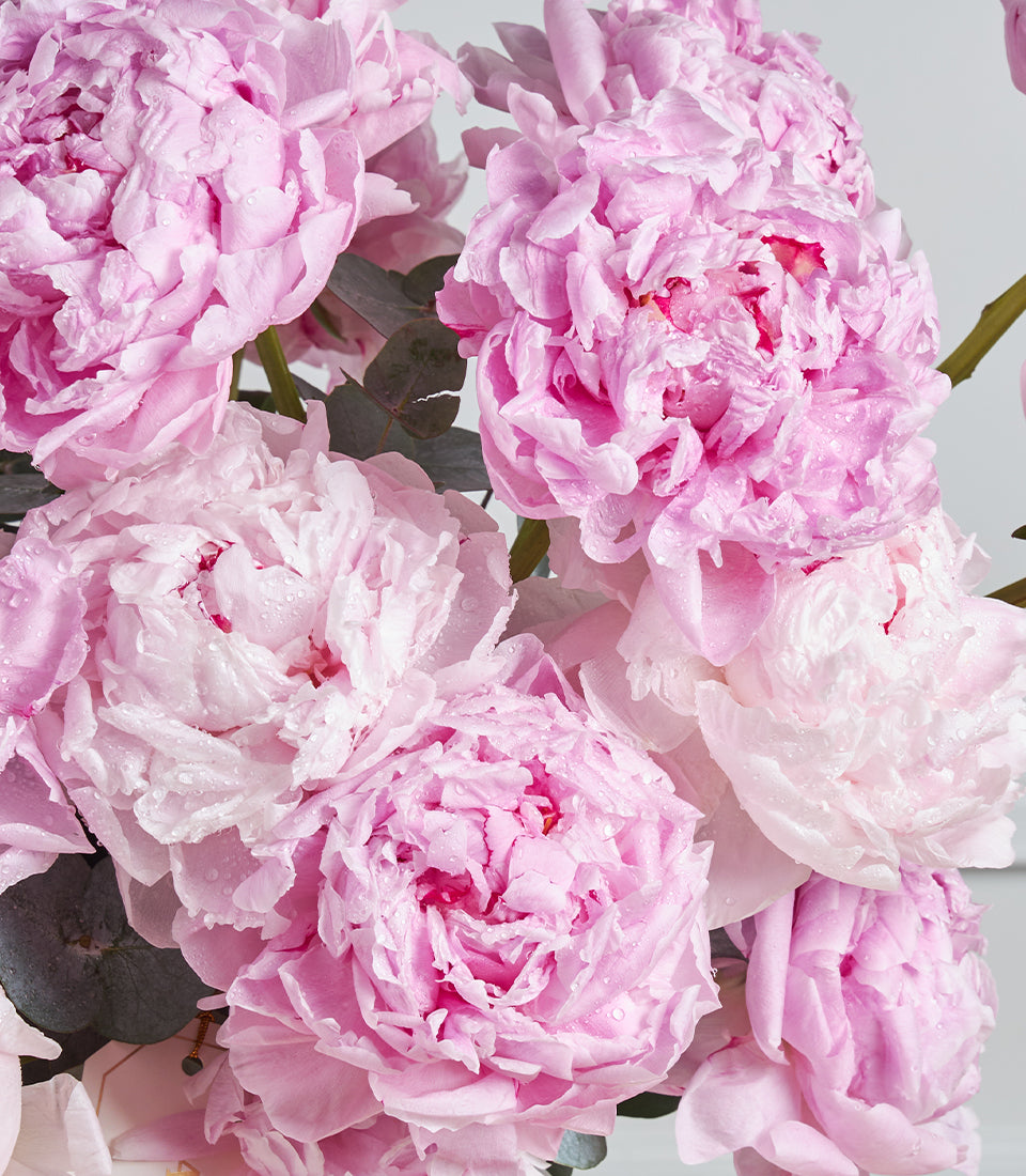 Grand Pink Peony Vase Arrangement