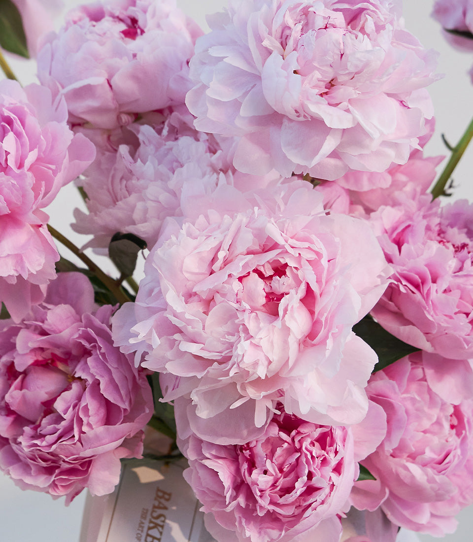 Lush pink peony vase arrangement from Flowers by Basketeer, a