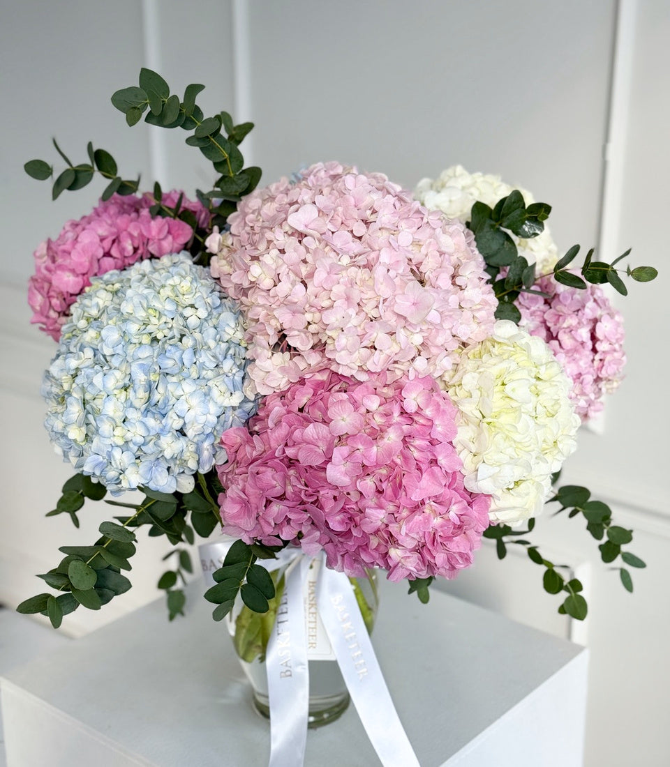 Big Hydrangea Elegance In Vase