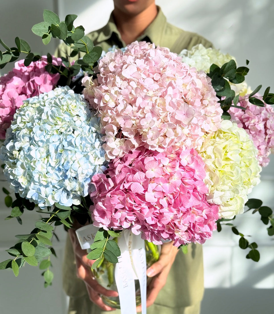 Big Hydrangea Elegance In Vase