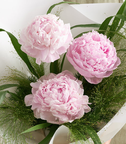 Elegant bouquet with three lush pink peonies, complemented by fresh green foliage and delicate wis