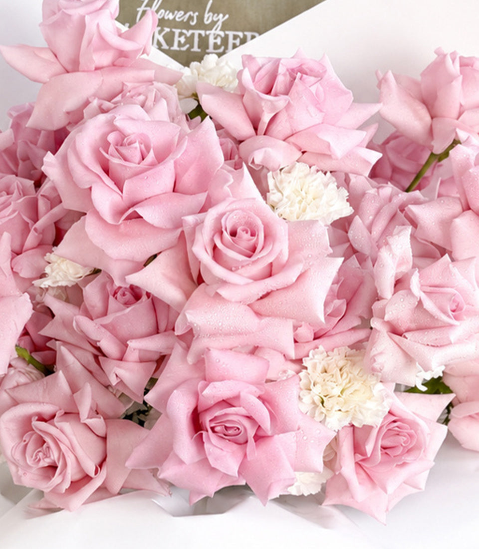 Basketeer luxury fresh pink rose bouquet with delicate white filler flowers, beautifully wrapped