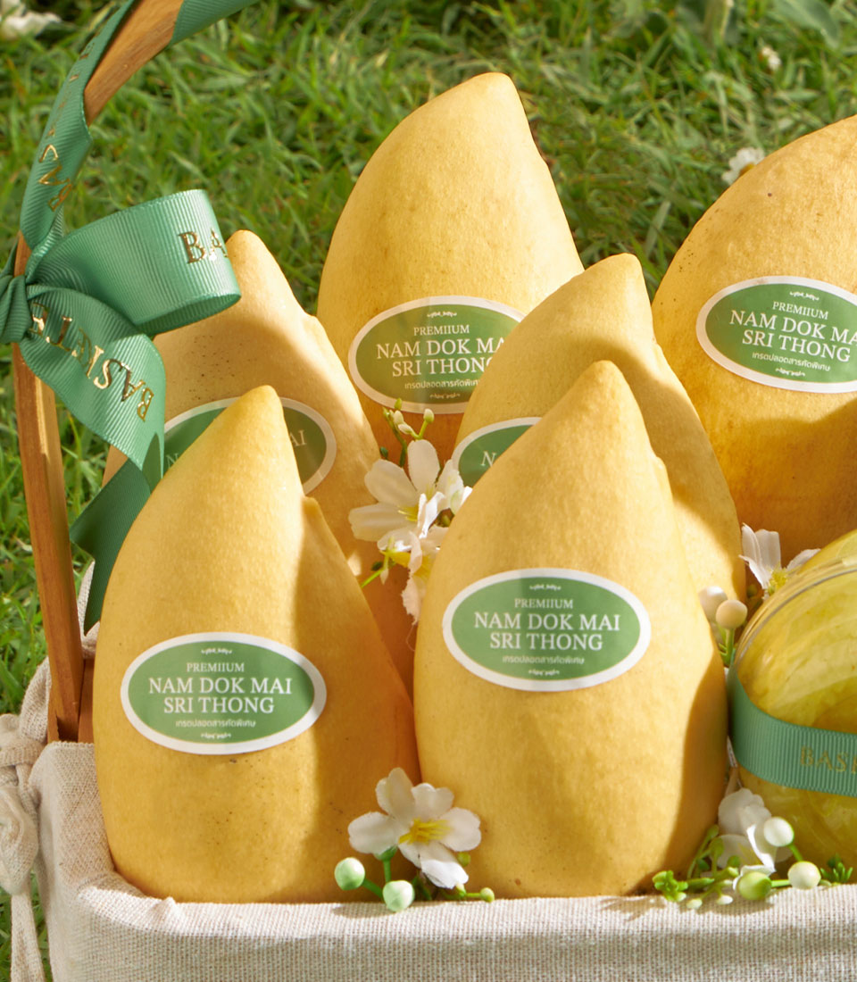 Premium Nam Dok Mai Sri Thong mangoes in wooden basket with sticky rice and green ribbon bow