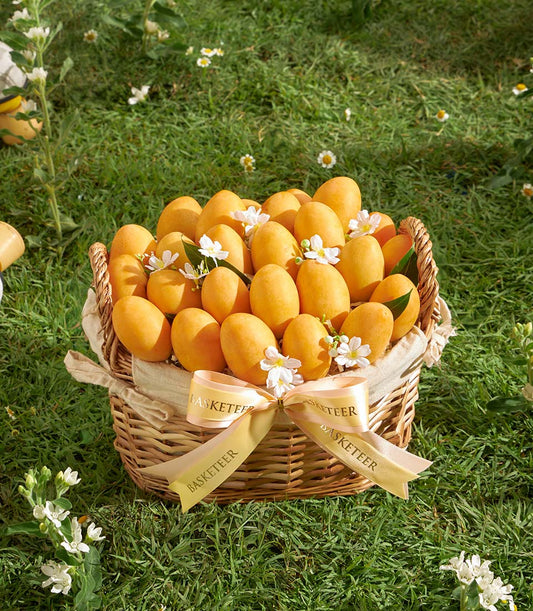 Premium Toon Klaow mango gift basket with golden ribbon on green lawn