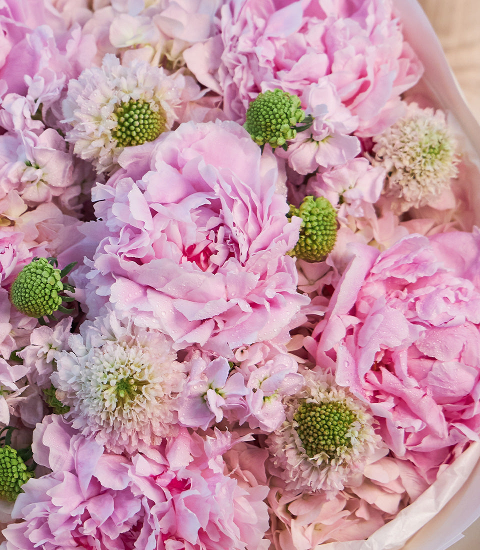 Lush bouquet of premium pink peonies, light pink hydrangeas, and white