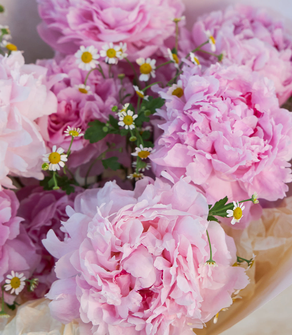 A luxurious Flowers by Basketeer bouquet featuring lush pink peonies and delicate white daisies,