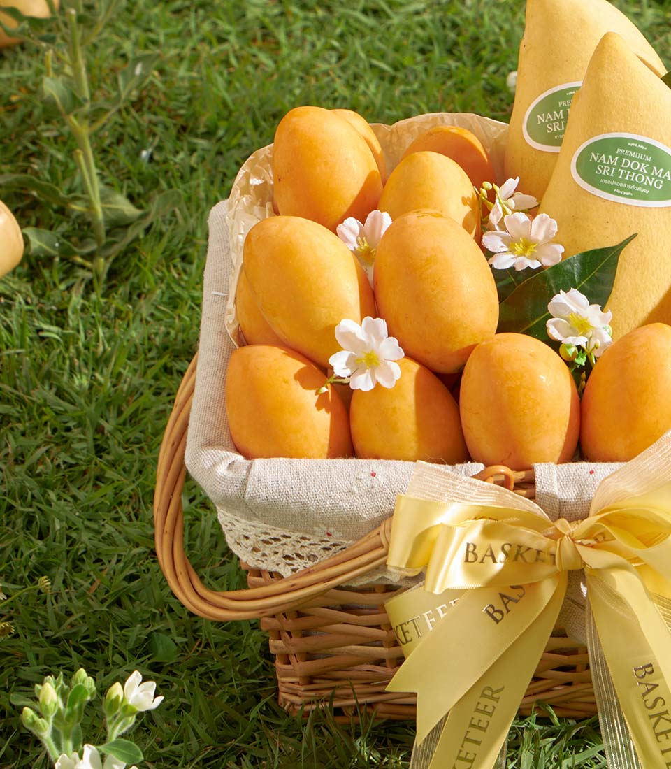 Premium Nam Dok Mai mangoes and white flowers in wicker basket with yellow satin ribbon