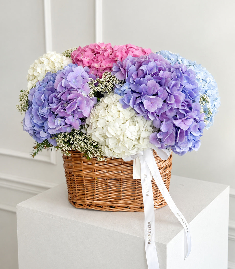 Pastel Harmony Hydrangea Basket