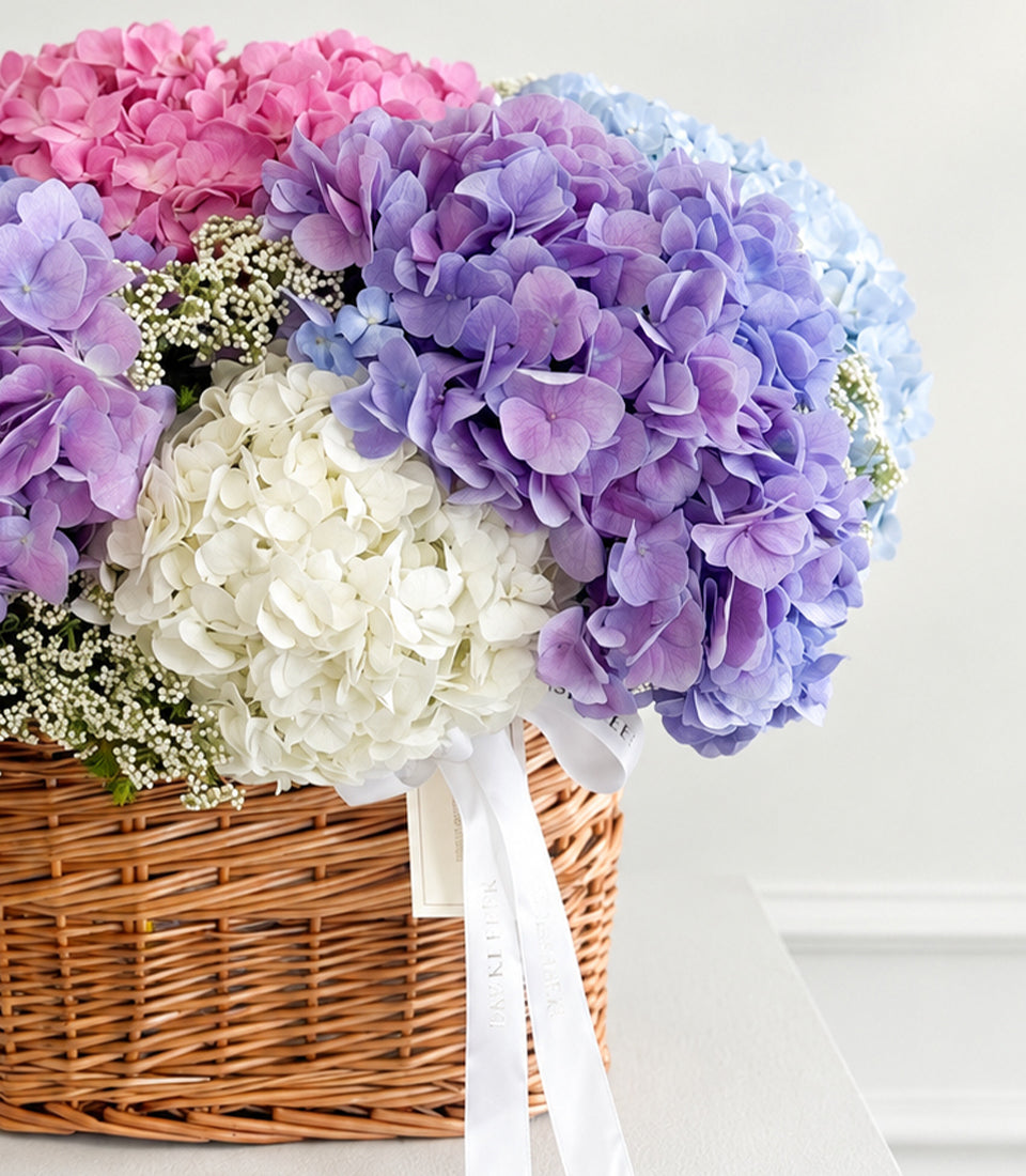 Pastel Harmony Hydrangea Basket