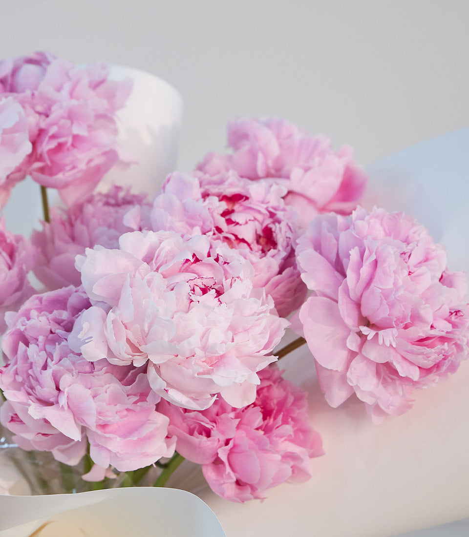 A lush bouquet of premium pink peonies, showcasing their delicate petals and romantic charm.
