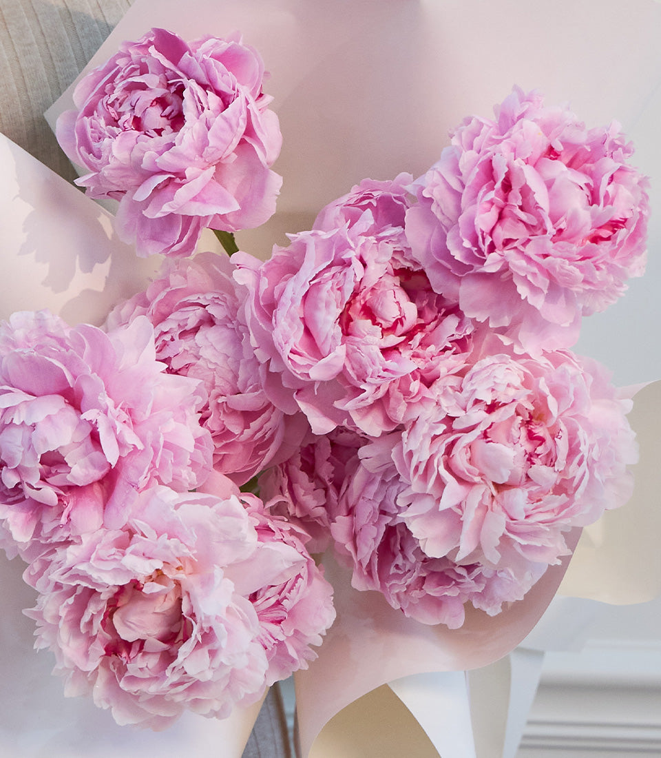 A stunning bouquet of fresh, vibrant pink peonies, elegantly wrapped in