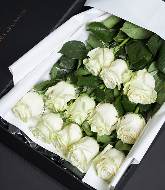 Dozen white roses luxury Valentine bouquet in black gift box with pristine petals and green stems