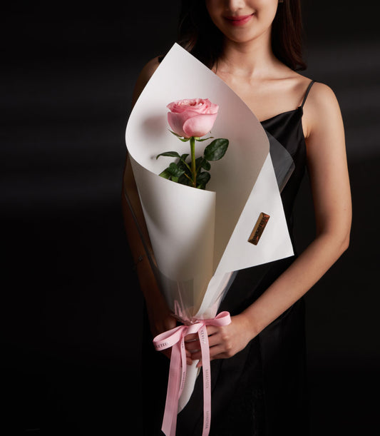 Single pink premium rose with white paper wrapping and pink ribbon bow, Valentine's Day gift