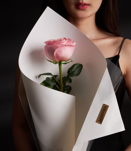 Single pink premium rose wrapped in white paper, Valentine's Day gift from Flowers by Basketeer