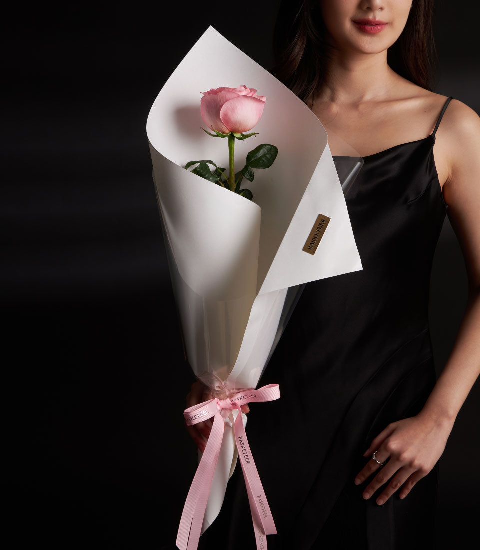Single pink rose in elegant white paper wrap with pink ribbon, perfect Valentine's Day gift