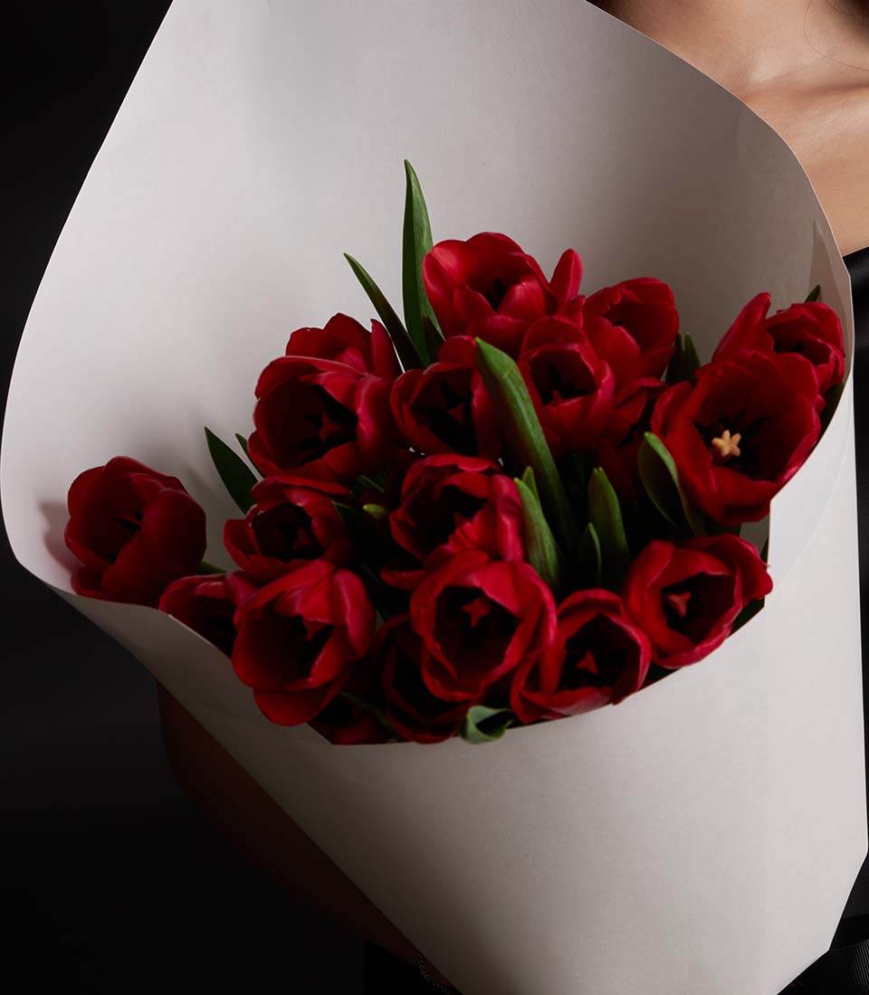 Deep red tulips bouquet in white paper wrap, Valentine's Day gift