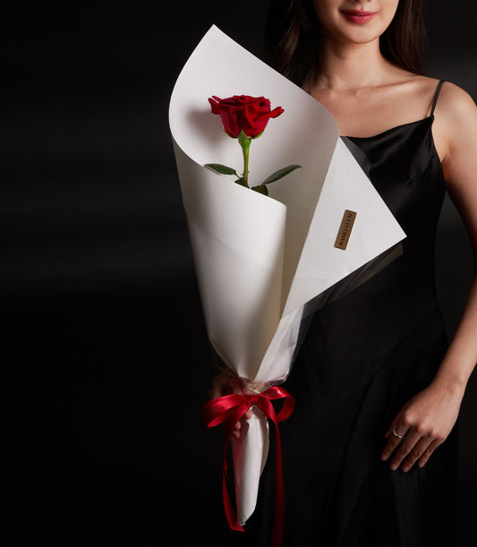 Single red rose wrapped in white paper and red satin ribbon, held by woman in black slip dress for Valentine's Day