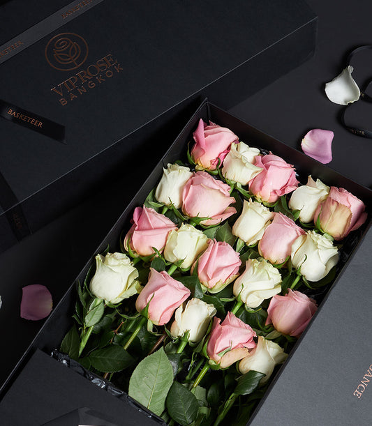 Luxury pink and white Ecuador roses gift box, two dozen long-stemmed blooms with green foliage in black presentation box