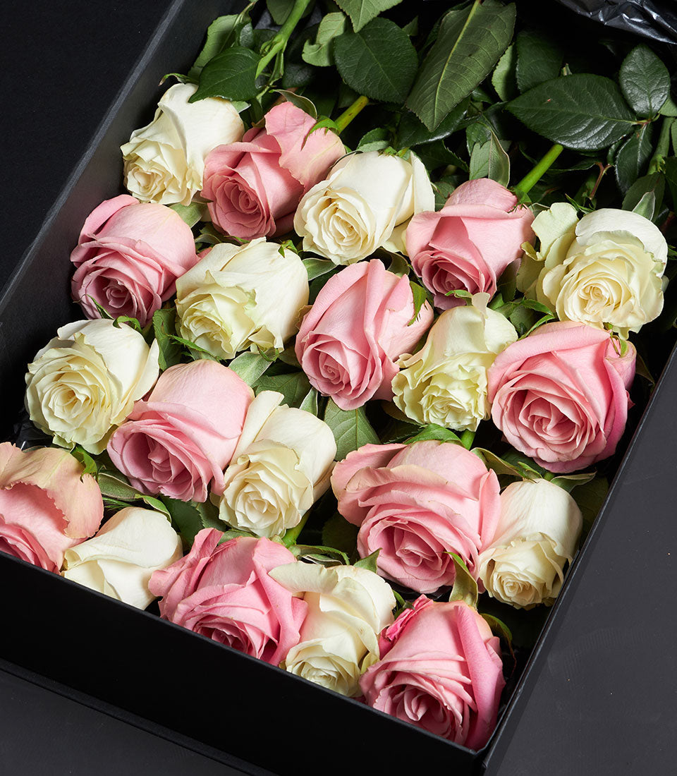 Luxury pink and white Ecuador roses in black gift box for Valentine's Day