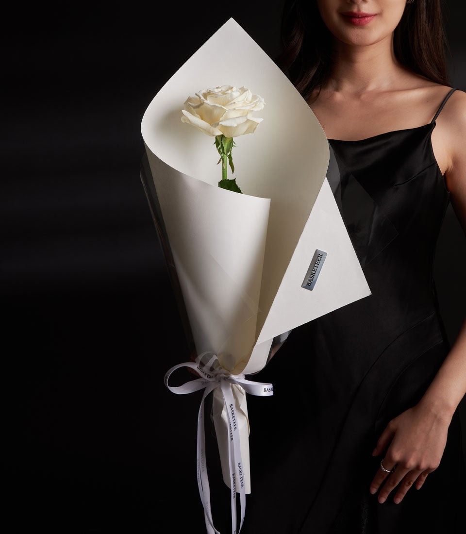 Single white rose wrapped in layered paper and white ribbon, elegant Valentine's Day flower gift