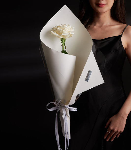 Single white rose wrapped in layered paper and white ribbon, elegant Valentine's Day flower gift