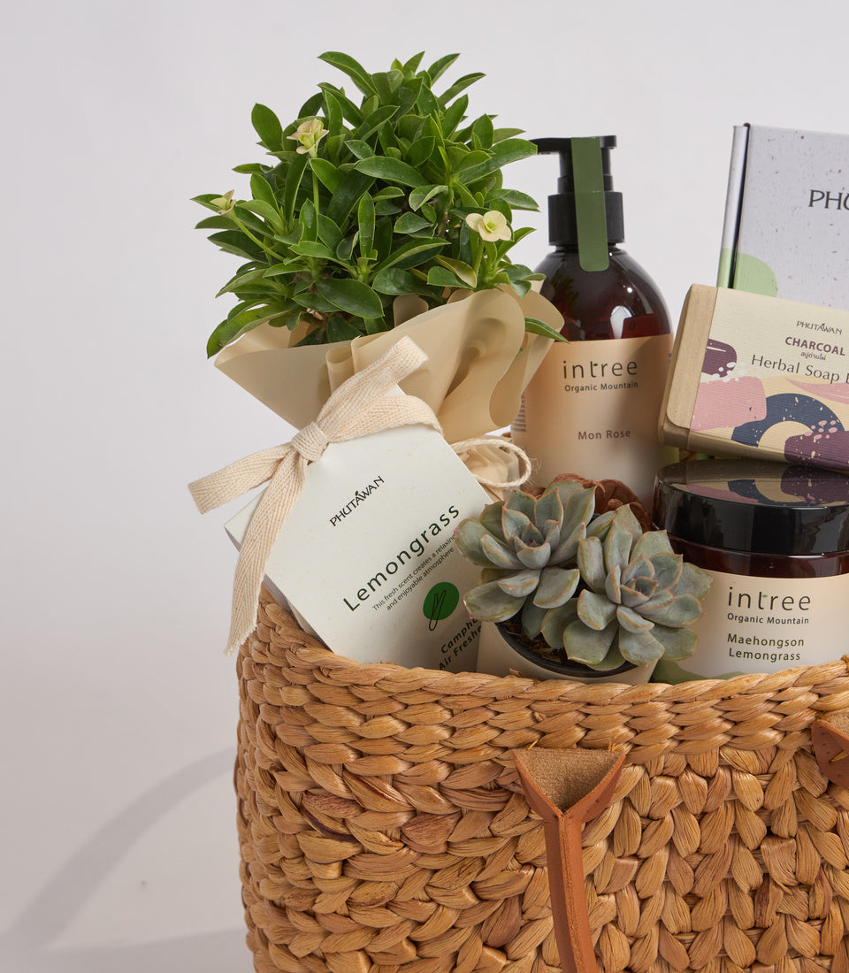 Woven basket gift set containing potted plants, natural soap, herbal products and wellness items in neutral earth tones.