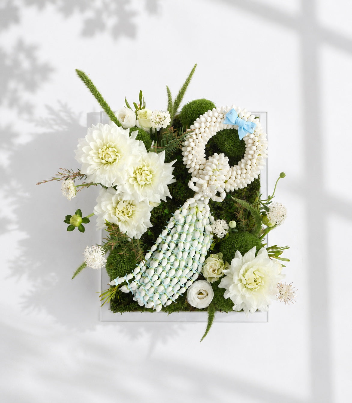 Basketeer luxury gift box with fresh white dahlias, lush green moss