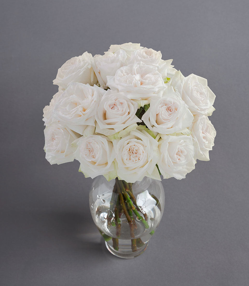 Grand White O'Hara Rose & Blue Hydrangea Vase